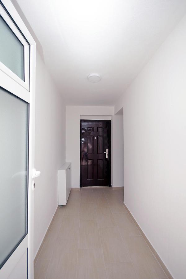 Apartments Residence Dj Petrovac 외부 사진